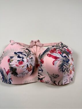 Cacique Pink Padded No Wire Floral Tropical-Print Bra Comfort Plus Size 40DDD